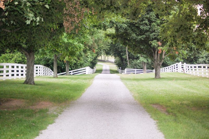 Gravel And Tar Paving